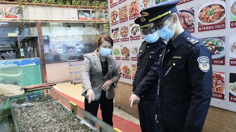 粮油价格波动背后的秘密：如何精准把握进价**